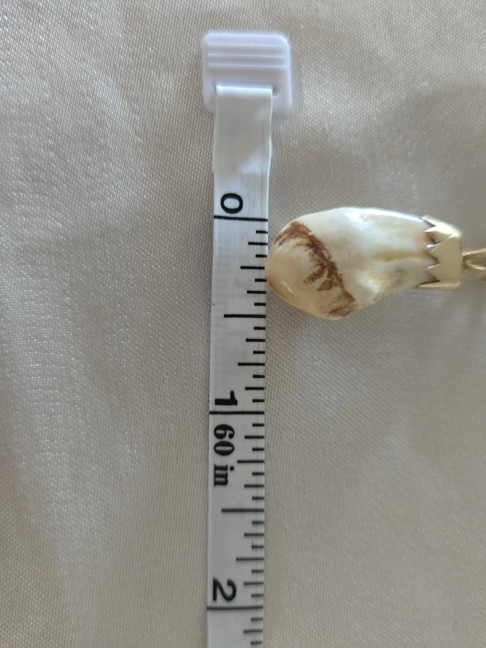 14k Gold-Capped Cream and Brown Ivory Elk Tooth Pendant